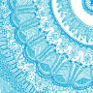 Meet your Posher, Evelyn